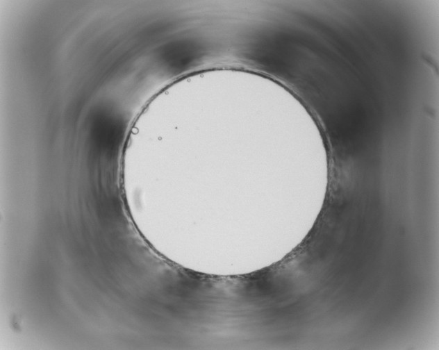 X0000103900815200810171612