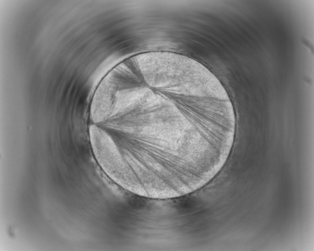 X0000103900816200810171612