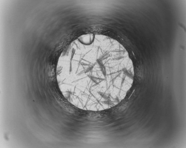 X0000103900818200810171612