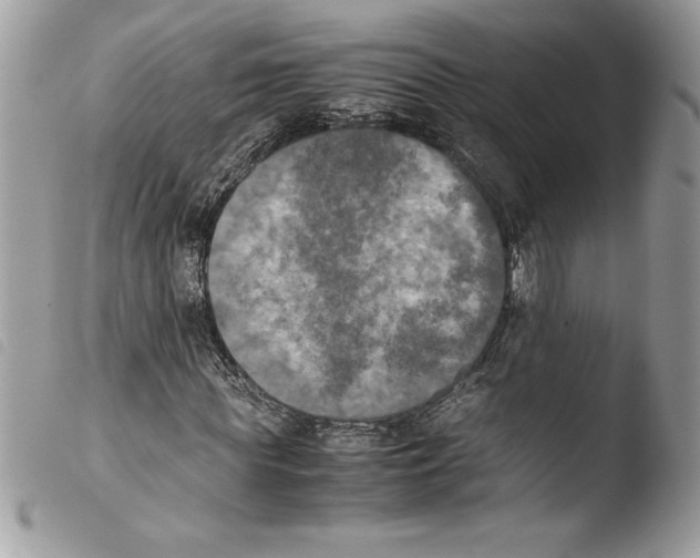 X0000103900819200810171612