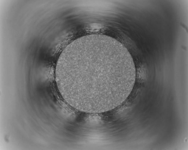 X0000103900820200810171612