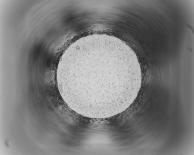 X0000103900824200810171612