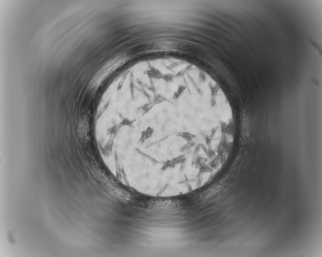 X0000103900826200810171612