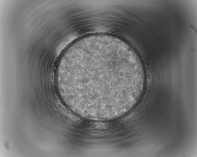 X0000103900827200810171612