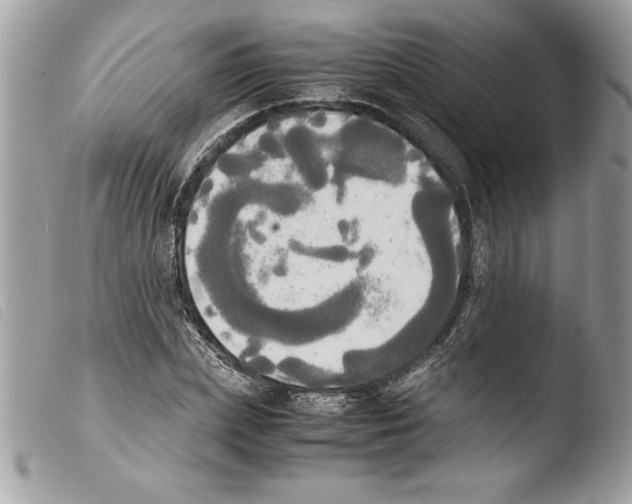 X0000103900831200810171612