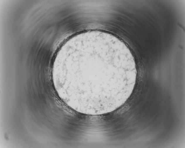 X0000103900832200810171612