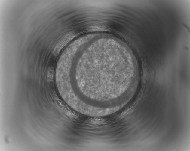 X0000103900833200810171612