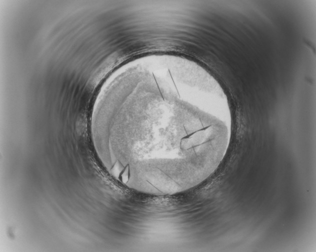 X0000103900834200810171612