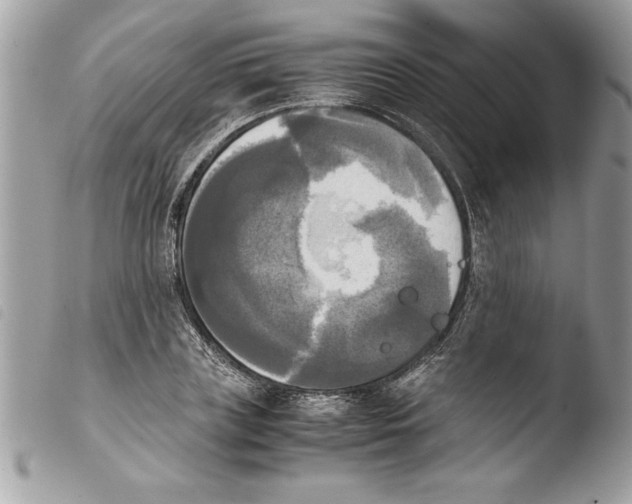 X0000103900835200810171612