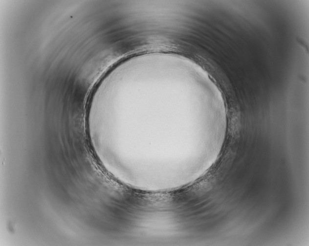 X0000103900836200810171612