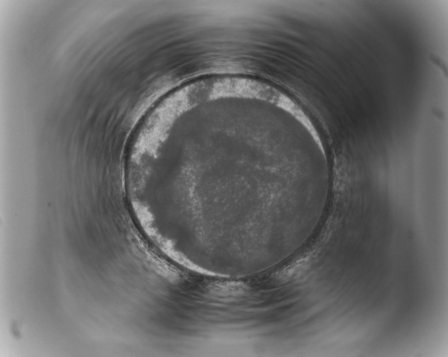 X0000103900837200810171612