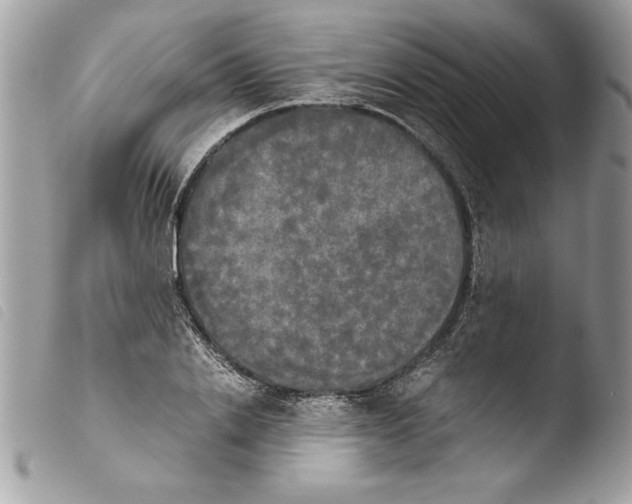 X0000103900838200810171612