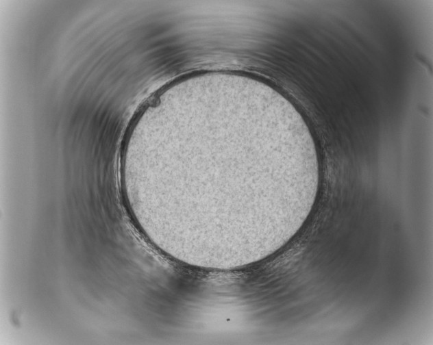 X0000103900840200810171612