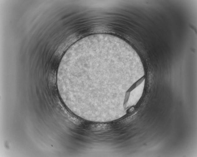 X0000103900841200810171612