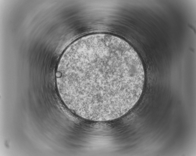 X0000103900842200810171612