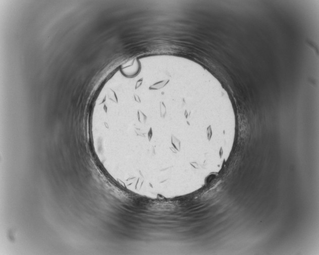 X0000103900843200810171612