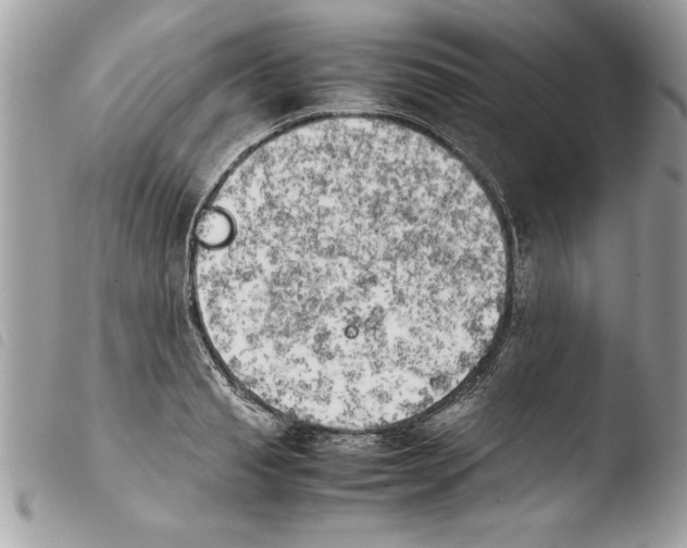 X0000103900845200810171612