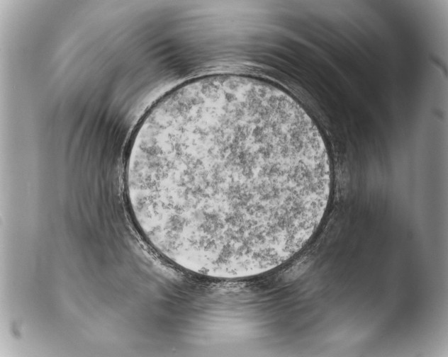 X0000103900846200810171612