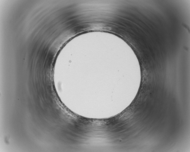 X0000103900848200810171612