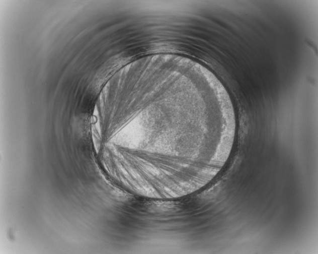 X0000103900849200810171612