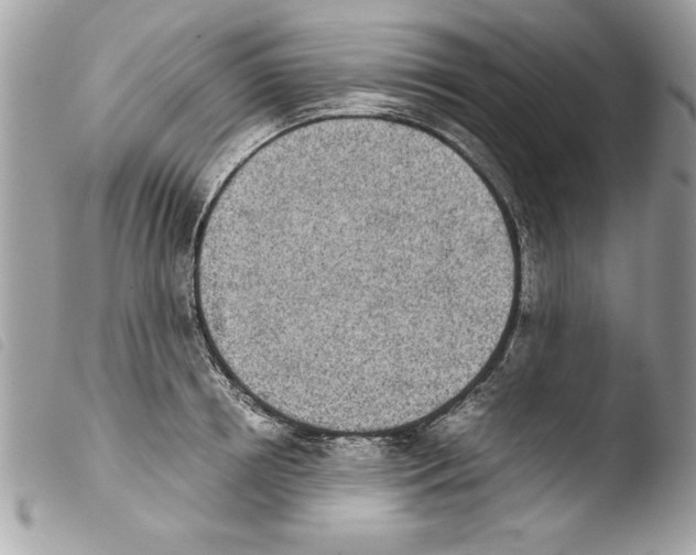 X0000103900850200810171612