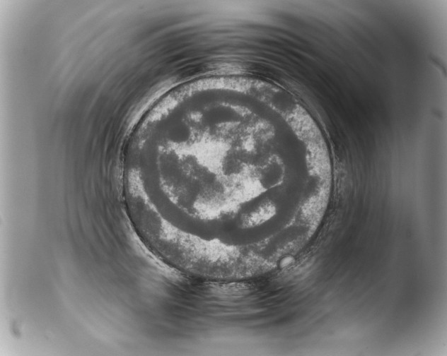 X0000103900851200810171612