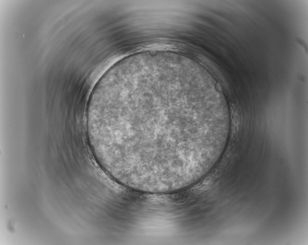 X0000103900852200810171612