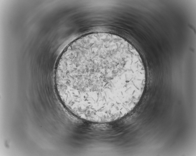 X0000103900853200810171612