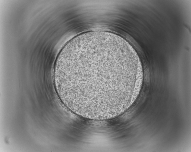 X0000103900856200810171612