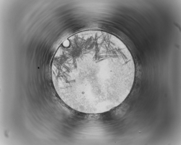 X0000103900858200810171612