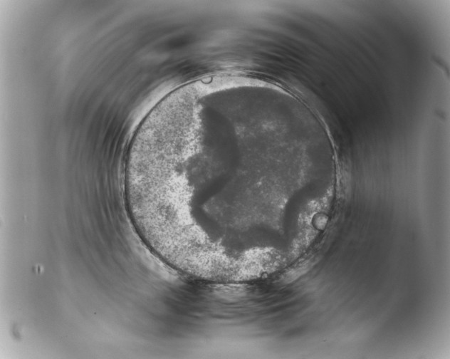 X0000103900859200810171612