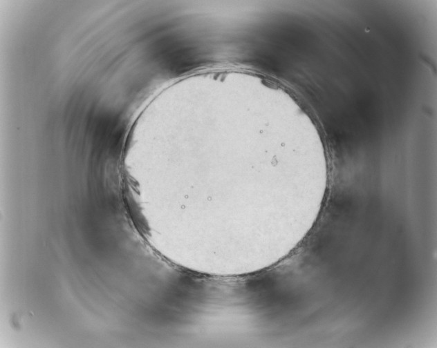 X0000103900860200810171612