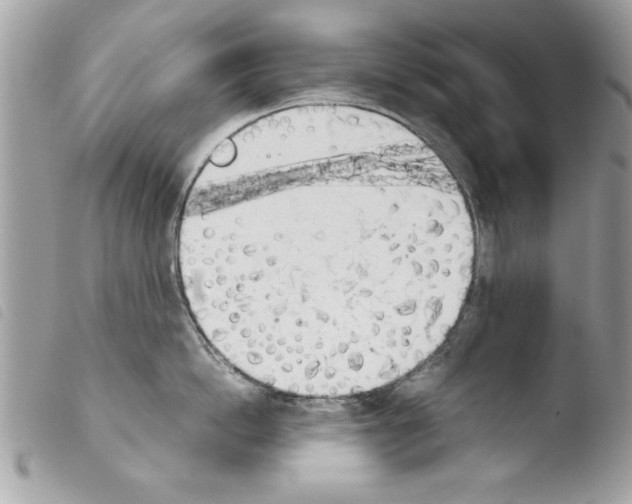 X0000103900862200810171612