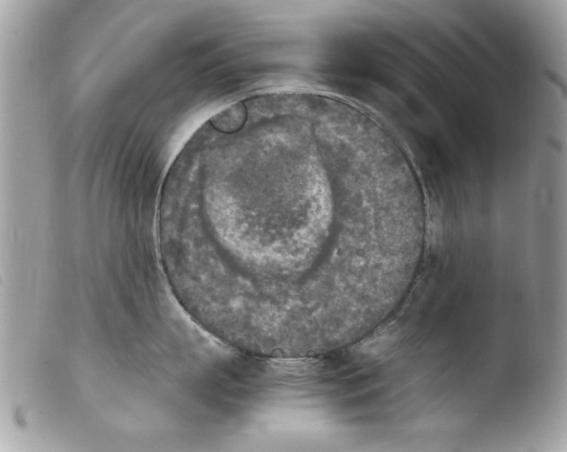 X0000103900863200810171612