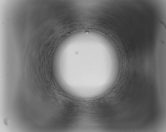 X0000103900865200810171612