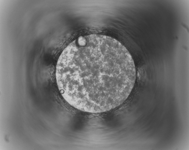 X0000103900867200810171612