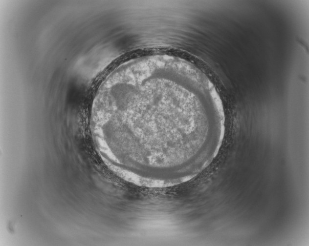 X0000103900871200810171612