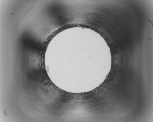 X0000103900872200810171612