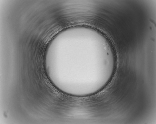 X0000103900873200810171611