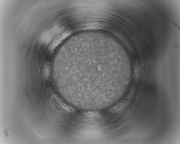 X0000103900874200810171611