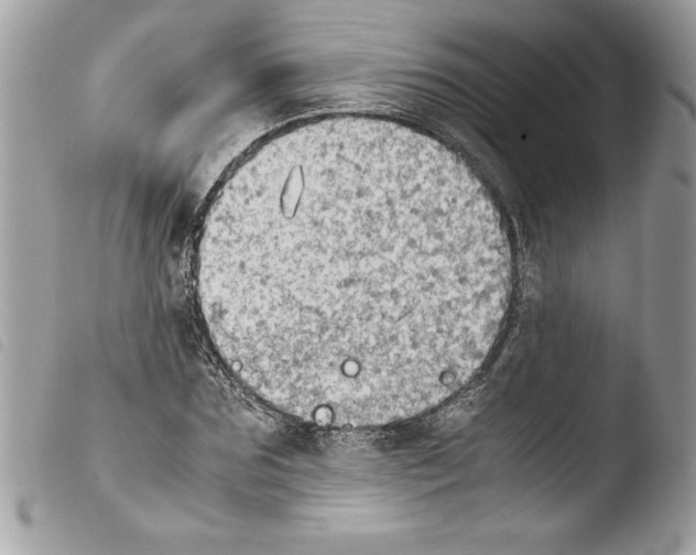 X0000103900875200810171611