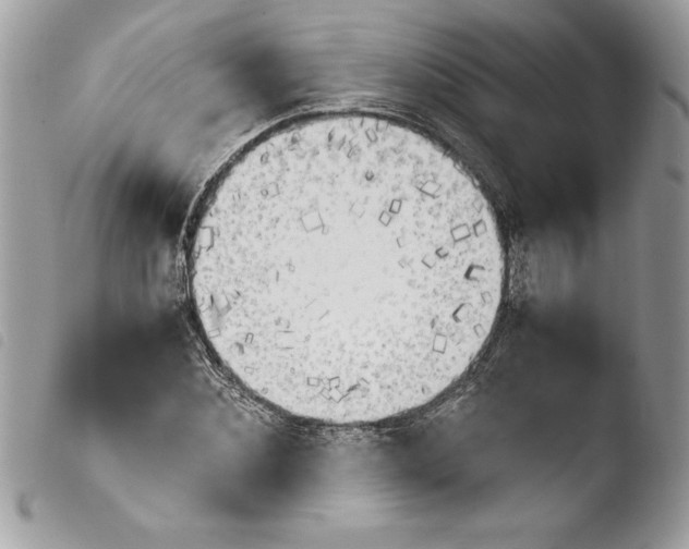 X0000103900876200810171611