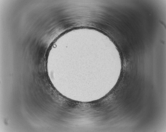 X0000103900877200810171611