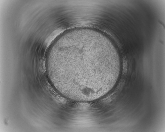 X0000103900878200810171611