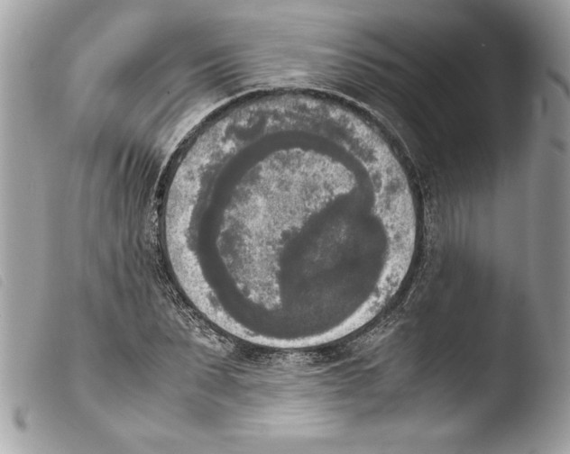 X0000103900879200810171611