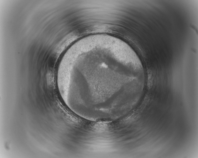 X0000103900882200810171611