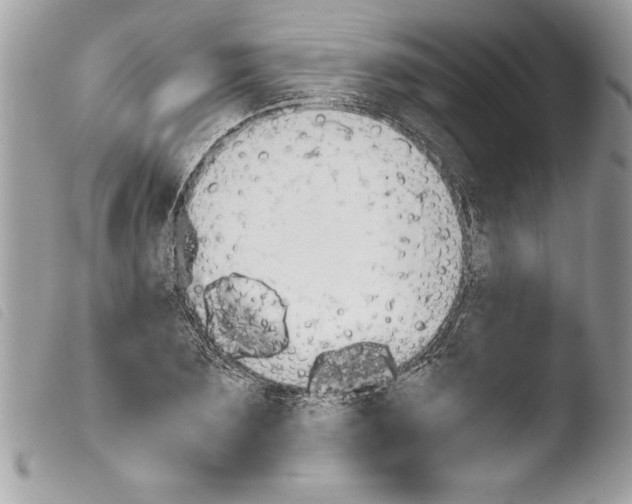 X0000103900883200810171611