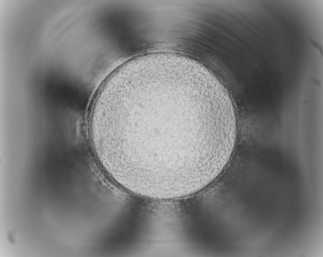 X0000103900884200810171611