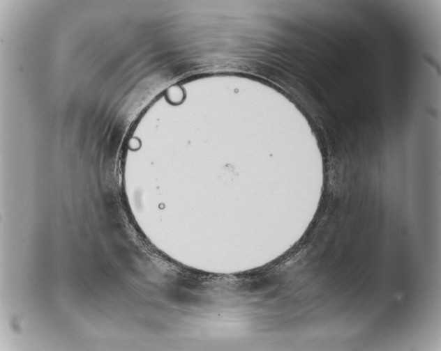 X0000103900885200810171611