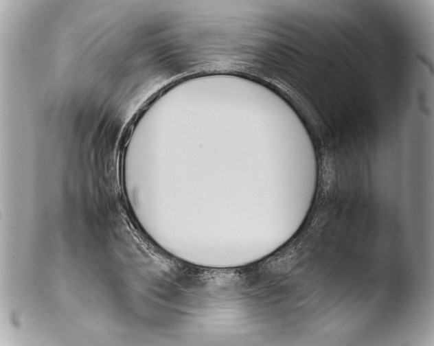 X0000103900886200810171611